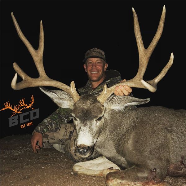 5-day Archery Arizona Mule Deer hunt for 1 hunter and 1 observer