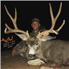 Image 1 : 5-day Archery Arizona Mule Deer hunt for 1 hunter and 1 observer