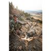 Image 3 : 5-day Archery Arizona Mule Deer hunt for 1 hunter and 1 observer