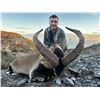 Image 5 : 4-day Ibex hunt in Spain for 1 hunter