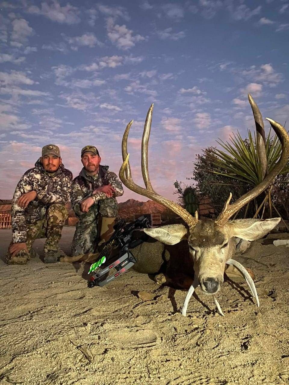 Hunting In Mexico 6-day Sonora Mexico Mule Deer Hunt for 2 Hunters and 1 observer