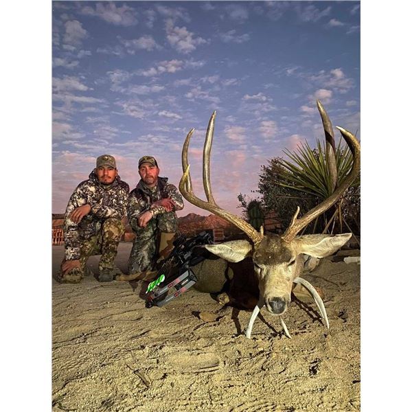 6-day Sonora Mexico Mule Deer Hunt for 2 Hunters and 1 observer