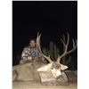 Image 4 : 6-day Sonora Mexico Mule Deer Hunt for 2 Hunters and 1 observer