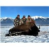 Image 2 : 3-Night Montana Bison Management Hunt