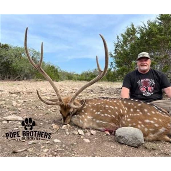 3-day Texas Axis hunt for 2 hunters