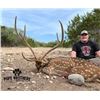 Image 1 : 3-day Texas Axis hunt for 2 hunters