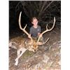 Image 4 : 3-day Texas Axis hunt for 2 hunters