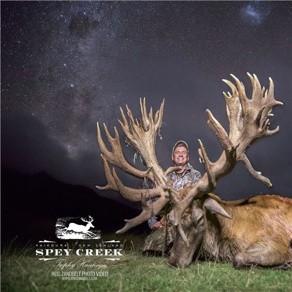 5-day New Zealand 2- 400 class Stags for 2 hunter 2 observers