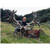 Image 3 : 5-day New Zealand 2- 400 class Stags for 2 hunter 2 observers