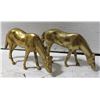 Image 1 : BRASS HORSES