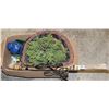 Image 1 : GARDEN VARIOUS ITEMS LOT