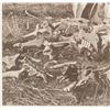Image 6 : Laton A Huffman (1854-1931) The Custer Battlefield