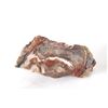 Image 2 : Holbrook, Arizona Triassic Hi-Qual Petrified Wood