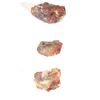 Image 6 : Holbrook, Arizona Triassic Hi-Qual Petrified Wood