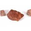 Image 10 : Agatized Jurassic Era Dinosaur Bone 200m Years Old