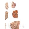 Image 11 : Agatized Jurassic Era Dinosaur Bone 200m Years Old