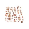 Image 1 : Agatized Jurassic Era Dinosaur Bone 200m Years Old