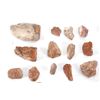 Image 2 : Agatized Jurassic Era Dinosaur Bone 200m Years Old