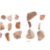 Image 3 : Agatized Jurassic Era Dinosaur Bone 200m Years Old