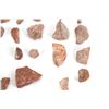 Image 5 : Agatized Jurassic Era Dinosaur Bone 200m Years Old