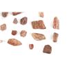 Image 7 : Agatized Jurassic Era Dinosaur Bone 200m Years Old