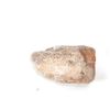 Image 8 : Agatized Jurassic Era Dinosaur Bone 200m Years Old