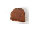 Image 9 : Agatized Jurassic Era Dinosaur Bone 200m Years Old