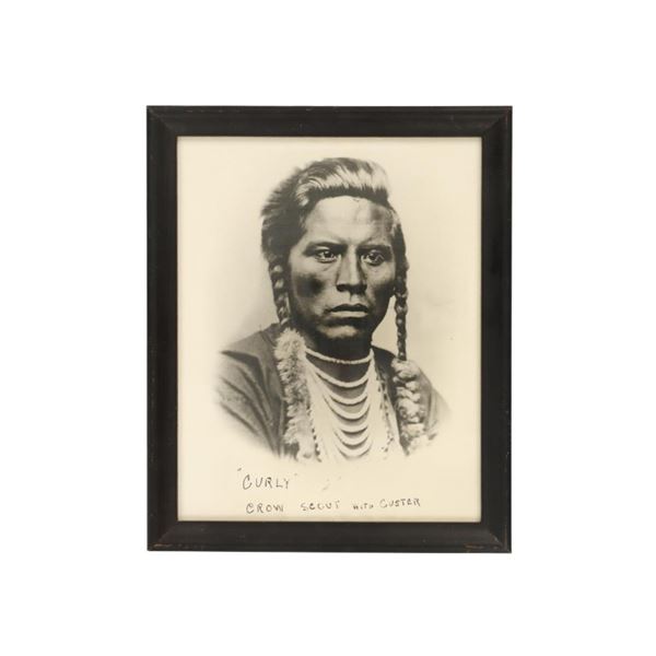 Rare 1885 D. F. Barry "Curly, Crow Scout" Photo