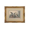 Image 1 : Framed J.J. Audubon Lithograph "Shoveller Ducks"