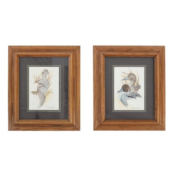 Janene Grende Gouache Duck & Grouse Paintings