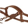 Image 9 : Duke Large No. 16 Bear Trap D Double Spring