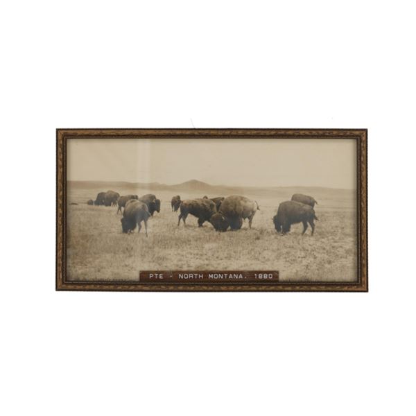 L.A. Huffman (1854-1931) Buffalo Grazing Collotype