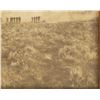 Image 5 : D. F. Barry Little Bighorn Battlefield Photo, 1886
