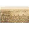 Image 7 : D. F. Barry Little Bighorn Battlefield Photo, 1886
