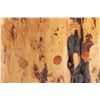 Image 25 : Red Lodge, Montana Live Edge Cabin Cabinet
