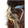 Image 4 : Sioux Chief Henry Standing Bear Buffalo Headdress