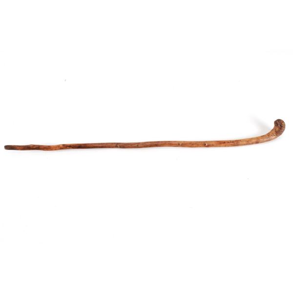 Ca. 1880 Blackfoot Burl Turtle Effigy Coup Stick