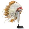 Image 9 : Sioux Feathered Beaded Headdress