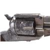 Image 13 : Remington 1875 Rosebud Indian Police Revolver