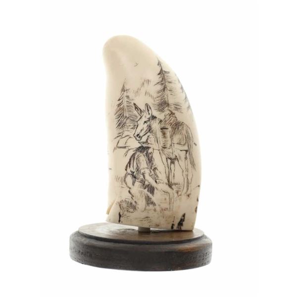 Golden State Scrimshaw Sperm Whale Tooth Casting