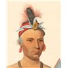 Image 3 : McKenney & Hall Kee-Shes-Wa, A Fox Chief, Litho