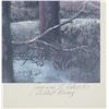 Image 8 : Joanne Flesch Artist Proof Edition Print c. 1988