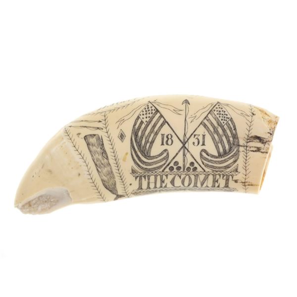"The Comet" Scrimshaw Sperm Whale Tooth Casting
