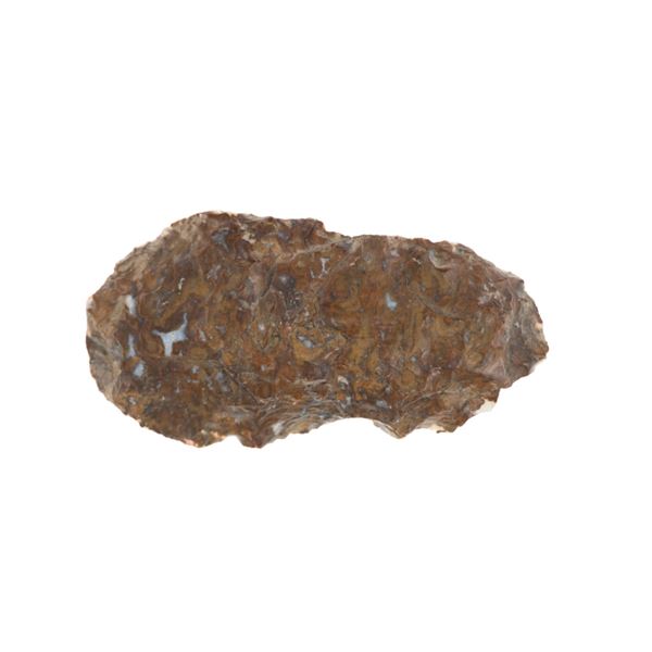 4 1/2" Nodena Cluster Point c. 1400 - 1650 CE