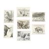 Image 3 : Yellowstone National Park Haynes Collection
