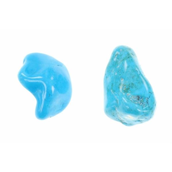 186.4g Polished Dyed Turquoise Howlite Samples