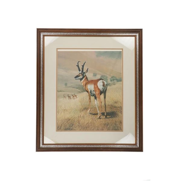 Charles Frace (1926-2005) Lim. Ed. Pronghorn Print