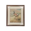 Image 1 : Charles Frace (1926-2005) Lim. Ed. Pronghorn Print