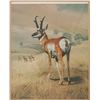 Image 2 : Charles Frace (1926-2005) Lim. Ed. Pronghorn Print