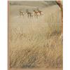 Image 6 : Charles Frace (1926-2005) Lim. Ed. Pronghorn Print